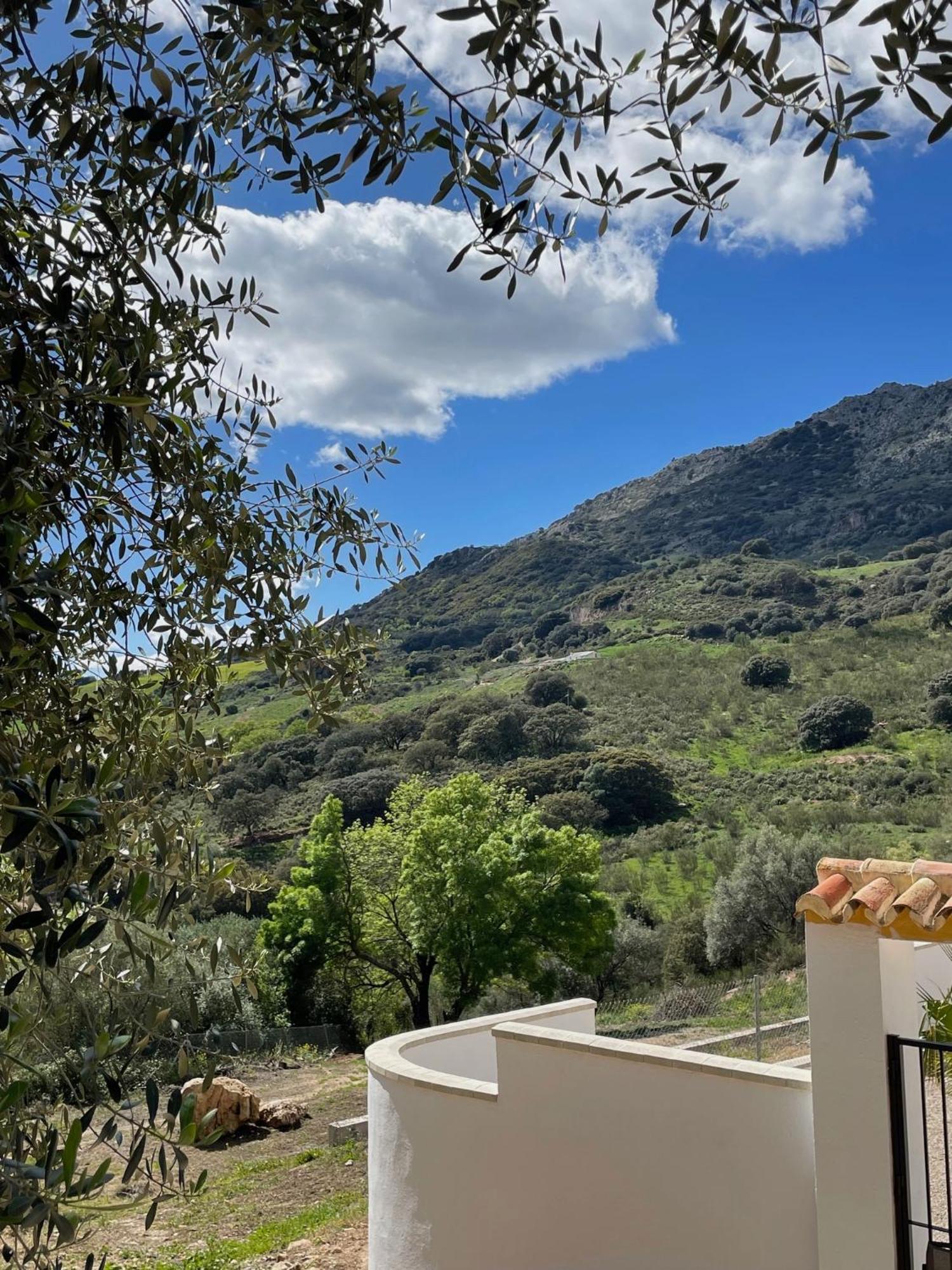 Cortijo Rancho Verde Colmenar Extérieur photo