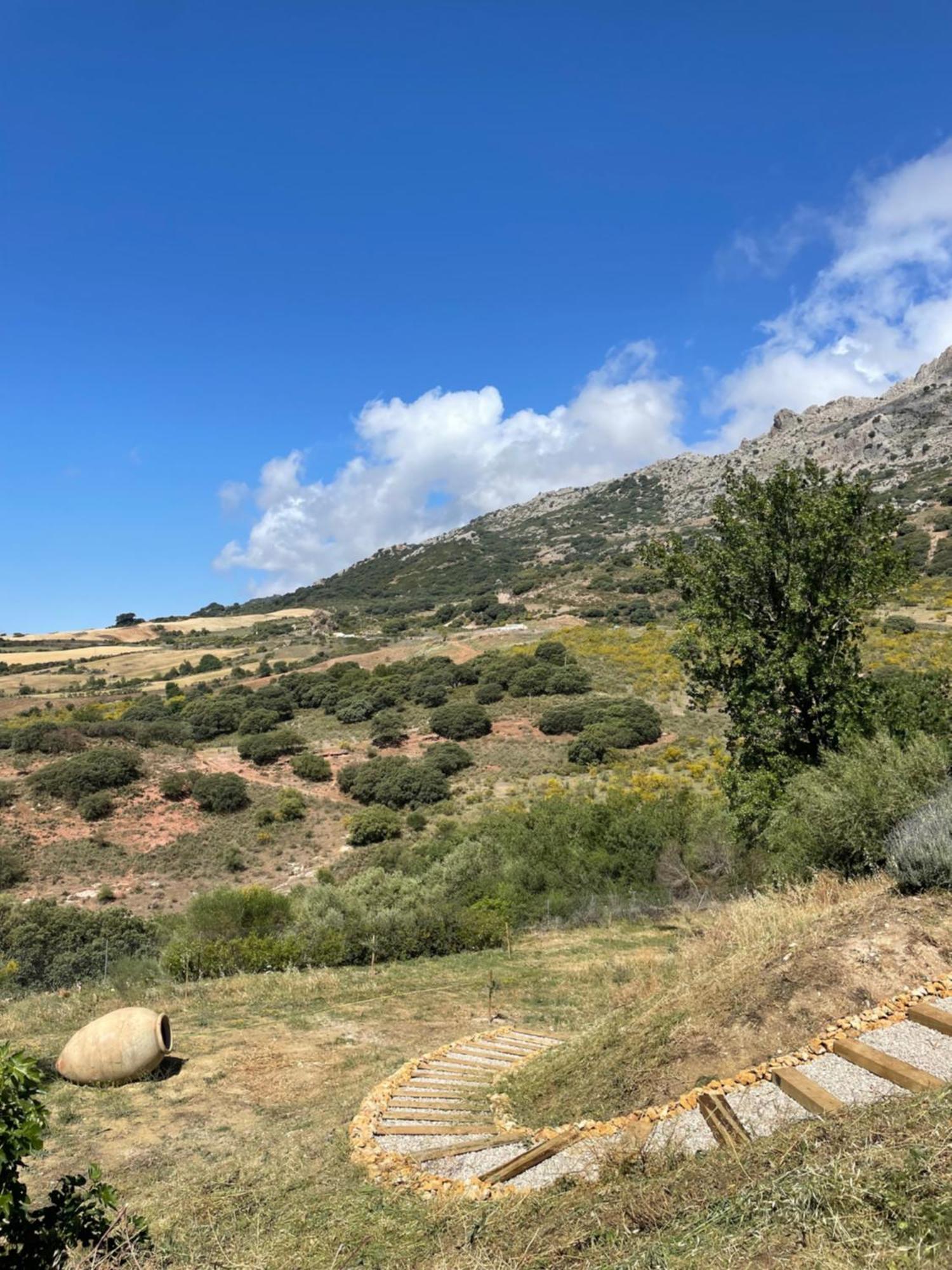 Cortijo Rancho Verde Colmenar Extérieur photo